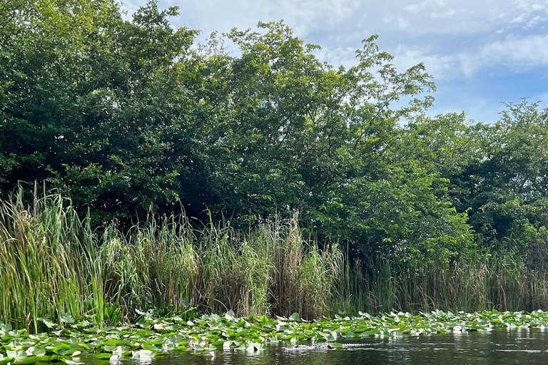 Everglades: em barco de propulsão plana com transporte