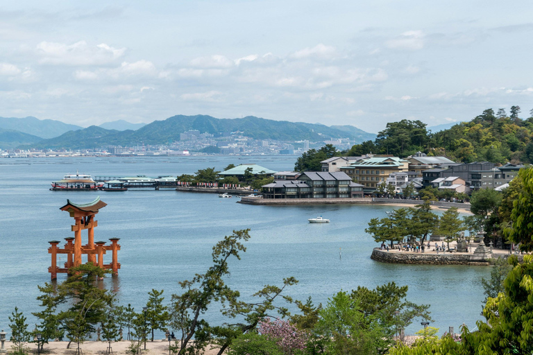 Hiroshima: Peace Park, Miyajima & Floating Torii Tour Private Tour