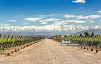 Mendoza- Private Driver With modern Car- Make your Own tour. - Housity