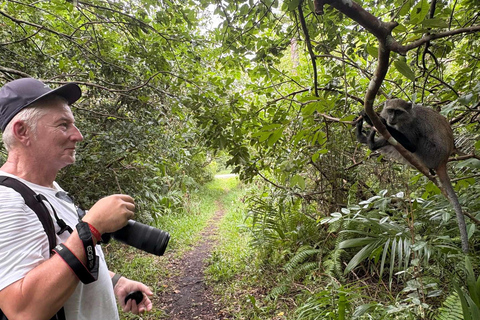 Zanzibar: Explore Prison Island, tortoises and Jozani forest Hotel pick up and drop-off included & Prison entry ticket
