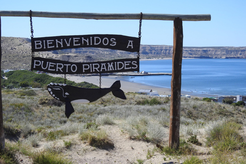 Península Valdés Landausflüge Touren