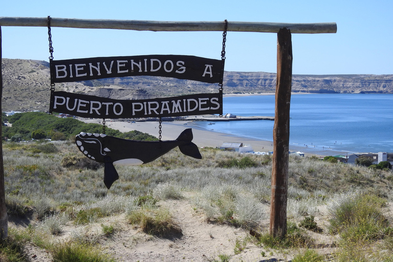 Península Valdés Land Utflykter Turer