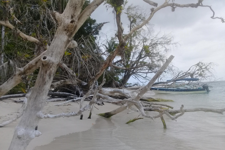 Bocas del Toro: Cayo Zapatilla, Bahía de los Delfines, Cayo Coral