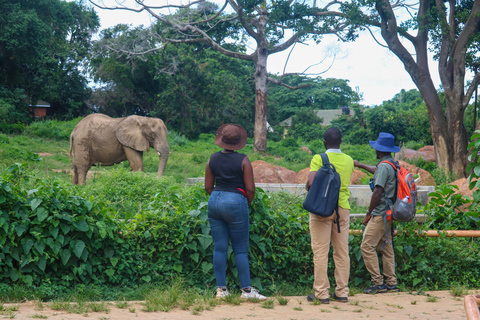 Uganda: Explore Entebbe on Foot Explore Entebbe