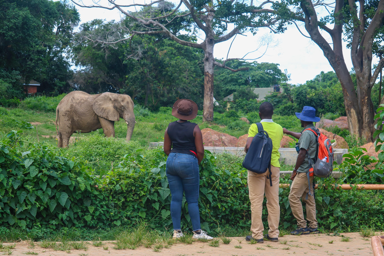Uganda: Explore Entebbe on Foot Explore Entebbe