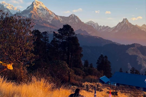 Pokhara: Hidden Paradise 3-Day Trek to Mohare Hill