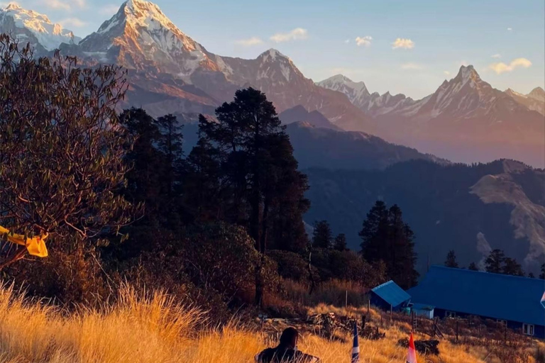 Pokhara: Hidden Paradise 3-Day Trek to Mohare Hill