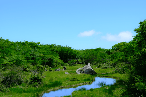 Isla de Jeju: tour de día completo por el sur y el oeste