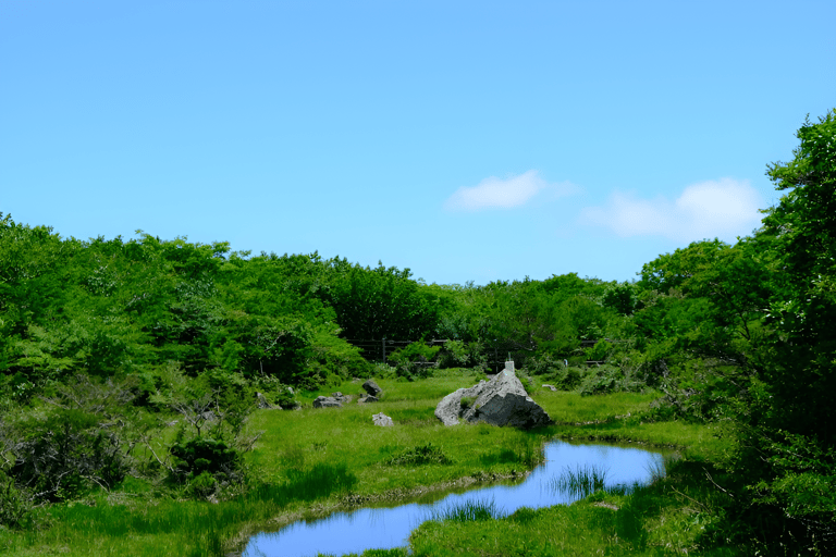 Wyspa Jeju: południowa i zachodnia wycieczka całodniowa