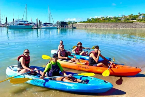 Airlie Beach: medio día de aventura en kayak de mar para ver tortugas