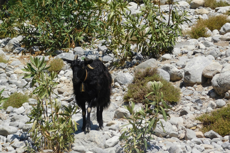 Chania Area with Pick up: Samaria Gorge Hike and Boat Ride
