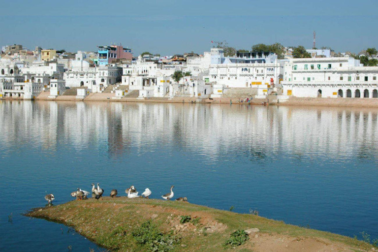 Jaipur (Pink City) with Pushkar Tour (03 Nights / 04 Days)