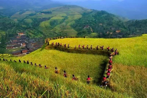 Longji Rice Terraces Flex Tour | Free Explore or Wide View Plan A: Longji Rice Terraces Self-Guided Day Trip