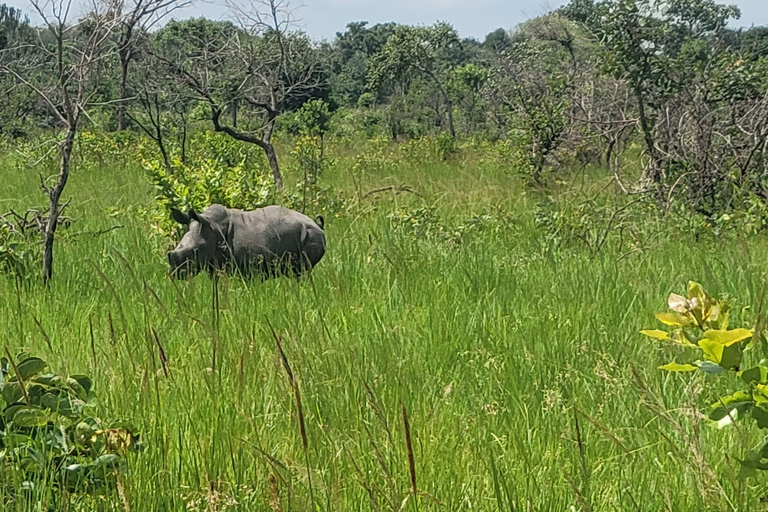 From Kampala: Ziwa Rhino Sanctuary Day Tour with Lunch