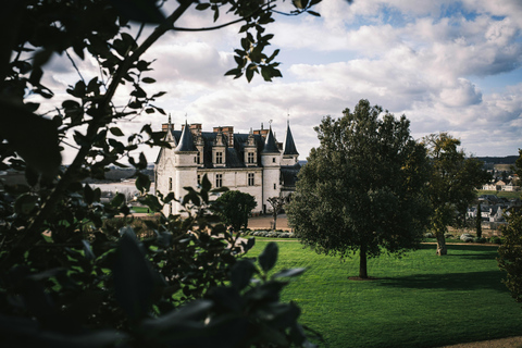 Amboise: Tour a pie guiado privado con el castillo de Amboise