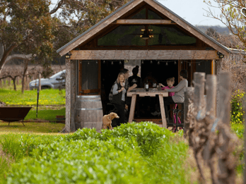 Barossa: Small-Group Wine Tour, Lunch & Premium Wine Tasting