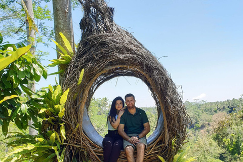 Ubud: Foresta delle scimmie, cascata di Tegenungan e terrazze di riso