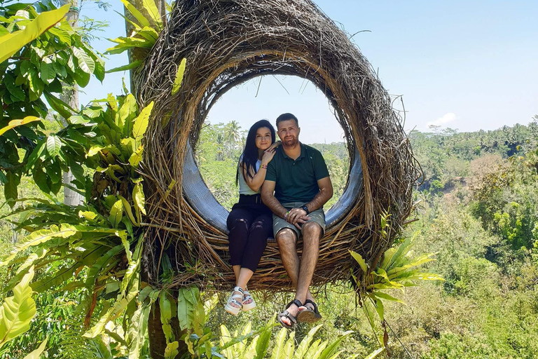 Ubud: Foresta delle scimmie, cascata di Tegenungan e terrazze di riso