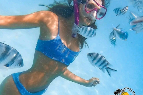 Zanzibar: prywatne nurkowanie w Błękitnej Lagunie i pływanie z rozgwiazdamiTransport do hotelu w dowolnym miejscu na Zanzibarze