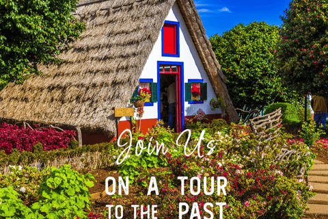 VW VAN Tours | NORDESTE