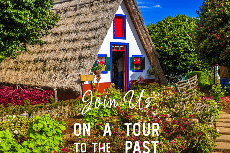 VW VAN Tours | NORDESTE