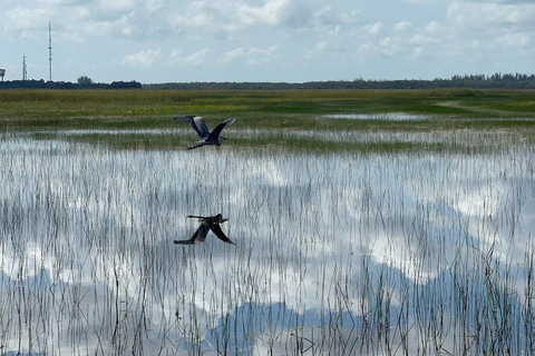 Everglades: Semi-Private or Private Airboat Tour Everglades: Private Airboat Tour 2hrs