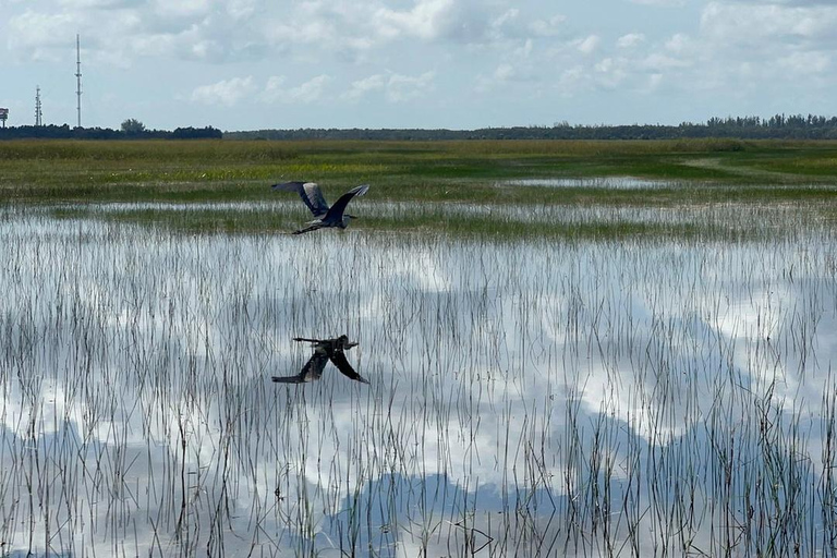 Everglades: Semi-Private or Private Airboat Tour Everglades: Private Airboat Tour 2hrs