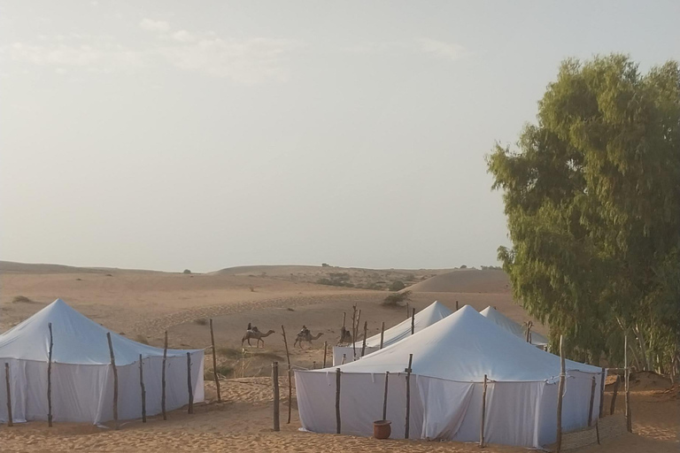 Z ATS odwiedź Dakar, od 3 do 6 godzin dostępności...Z ATS odwiedź Dakar, od 3 do 6 godzin dostępności....