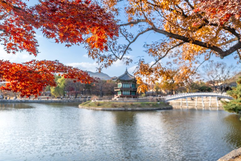 Seoul: Private City Tour with Guide and Photos