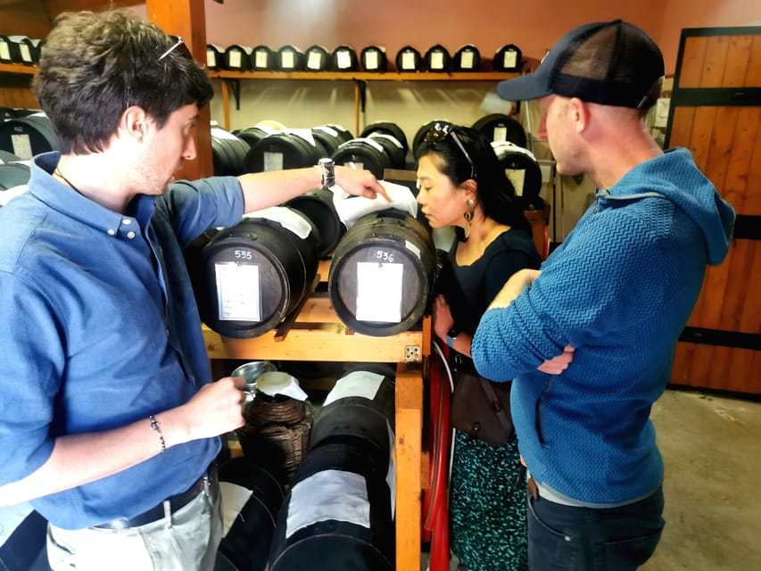 Bologna Parmigiano, Wine and Balsamic Vinegar experience GetYourGuide