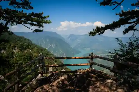 Desde Zlatibor/Užice: Parque Nacional de Tara - tour privado