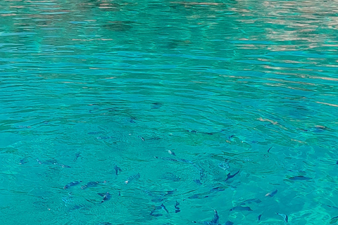 Agriate Marine Park and its beaches: tour with Captain François