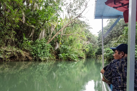 مانويل أنطونيو: جولة بالقارب بين أشجار المانغروف لمشاهدة الحيوانات