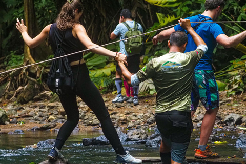 Uvita: Corcovado Rainforest & Wildlife Adventure