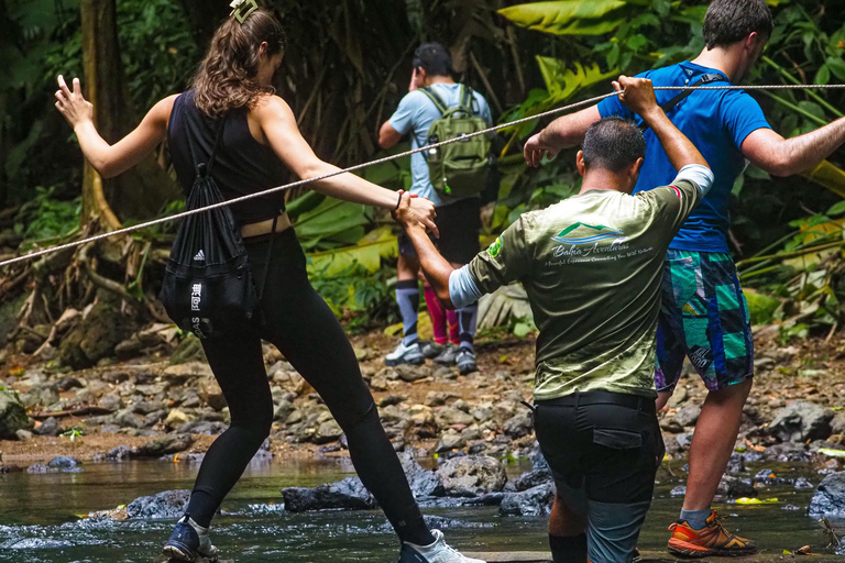 Uvita: Corcovado Rainforest & Wildlife Adventure