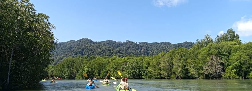 Aventure en kayak dans la mangrove