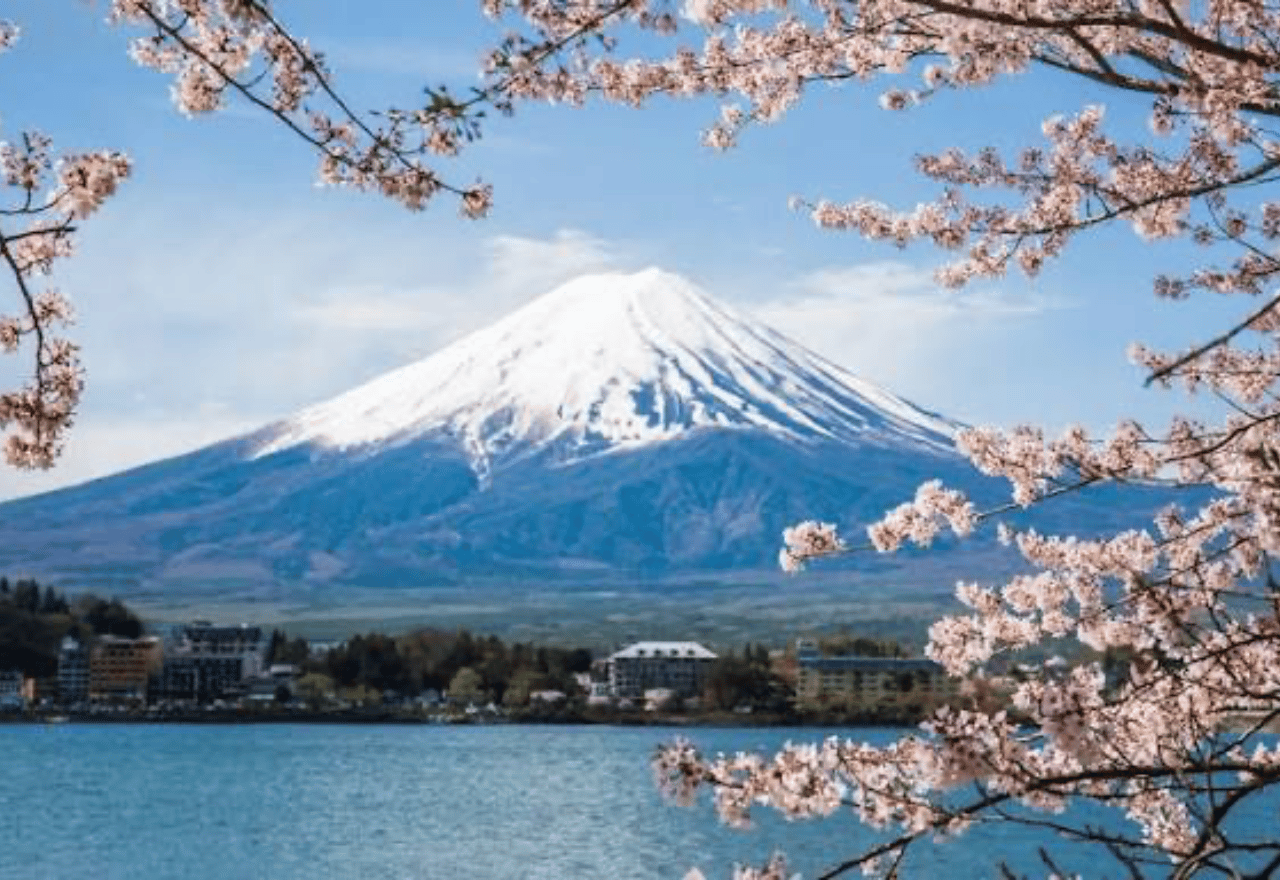Tokio: Ganztägige private Tour zum Fuji mit englischsprachigem Guide