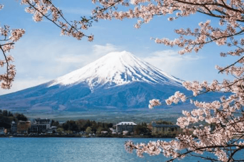 From Tokyo: Mount Fuji Private Day Tour With English Guide Mount fuji and Hakone Private Tour With english Guide