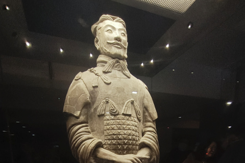 Shanghai-Xian one way bullet train to terracotta army tour