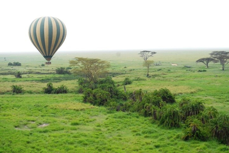 Från Nairobi: 8-dagars safari med det bästa av Kenya och Tanzania