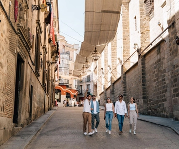 From Madrid: Segovia, Avila & Toledo with Winery in 2 days