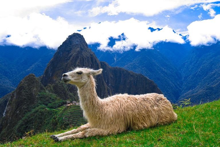 From Cusco: Machu Picchu Tour 1-Day by Train + Almuerzo Cusco: Machu Picchu Tour 1-Day by Train + Almuerzo