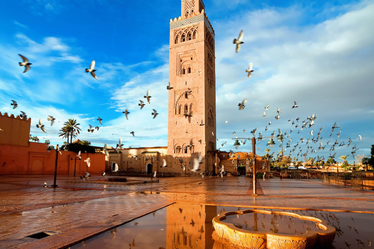 From Agadir: Marrakech Medina & Souks Guided Day Trip