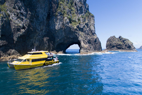 From Auckland: Hole in the rock cruise tour
