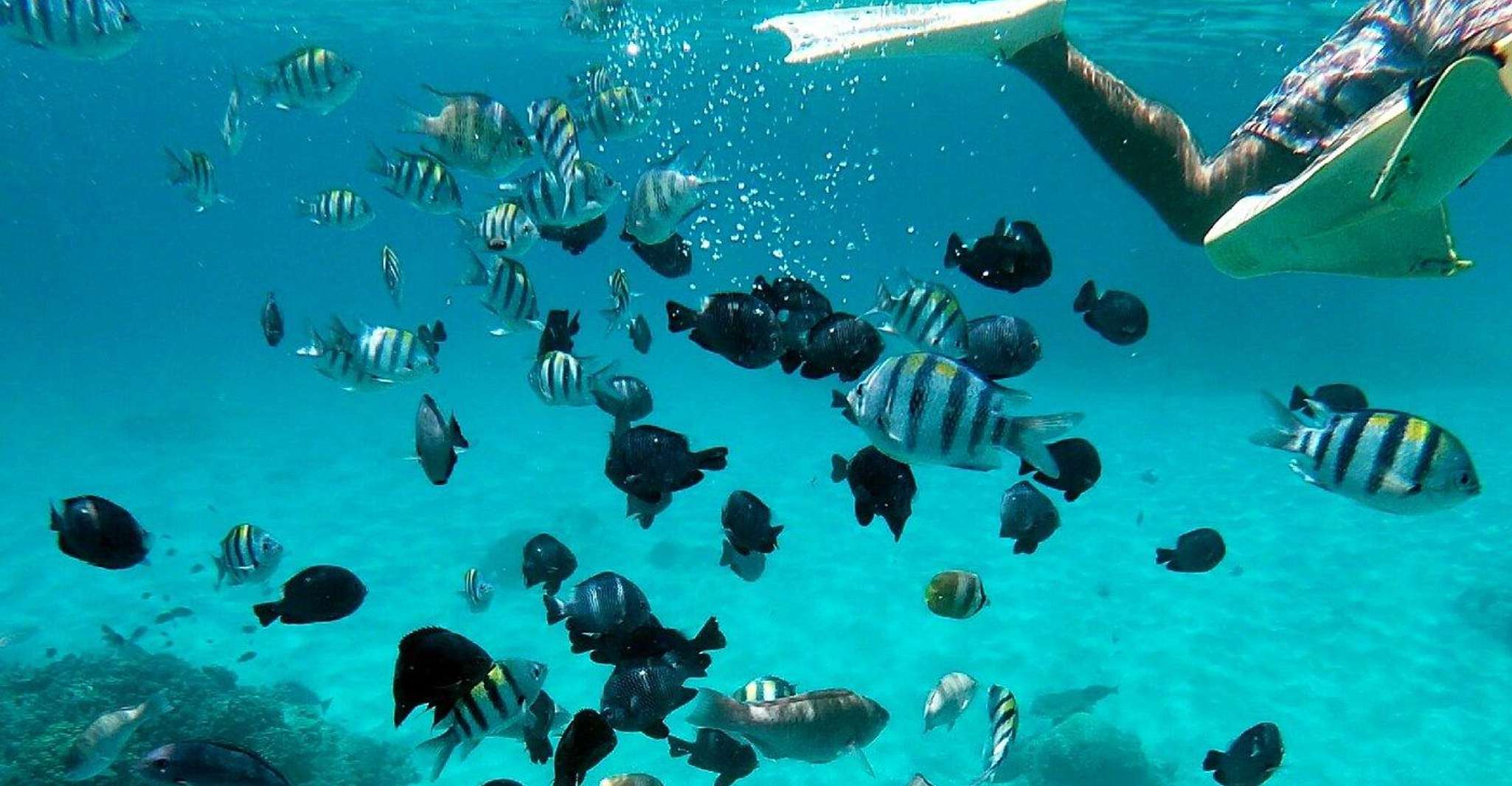 Bali, tour della laguna blu all-inclusive - Hizvo
