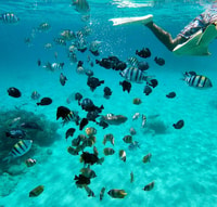 Bali, tour della laguna blu all-inclusive - Hizvo