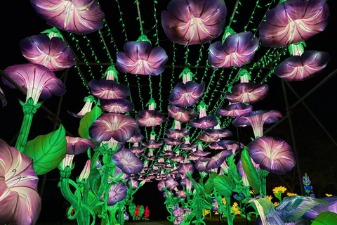 休斯顿：自然冬季灯光表演门票休斯顿：辐射自然之光假日体验门票