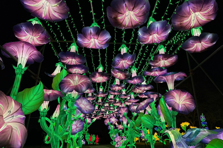 休斯顿：自然冬季灯光表演门票休斯顿：辐射自然之光假日体验门票