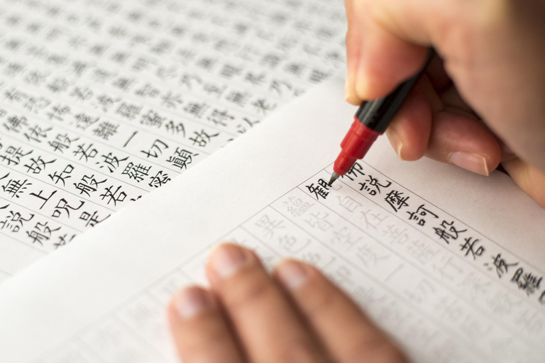 Nara: Yakushiji Tour – Toshodaiji or Sutra Copying Option Yakushiji + Sutra Copying Experience Option