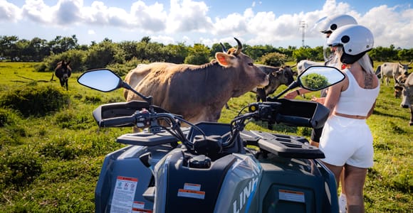 Istria: Guided Quad Tour With Sea Views & Animal Estate